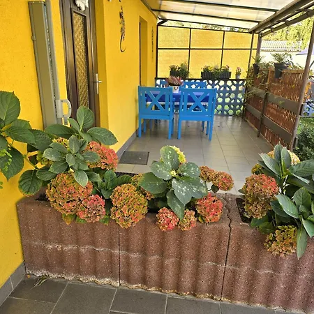 Wiesenperle * טראסנהיידה